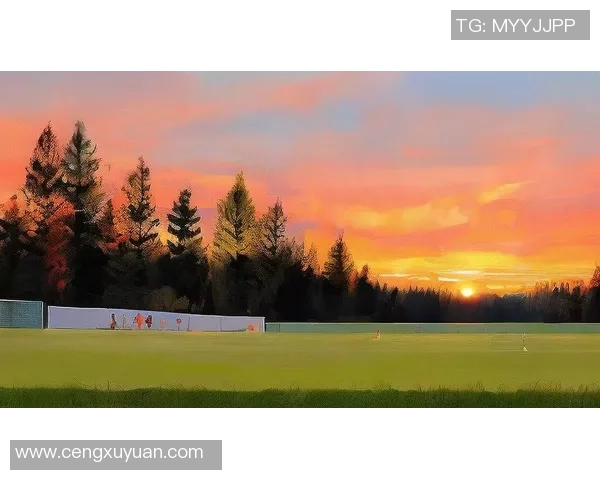 足球场画圆的球星是谁 谁用独特技巧征服了绿茵场